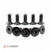 Винт М8х20 с потайной головкой вн.шестигранник (DIN 7991) нерж.сталь (A2) черный